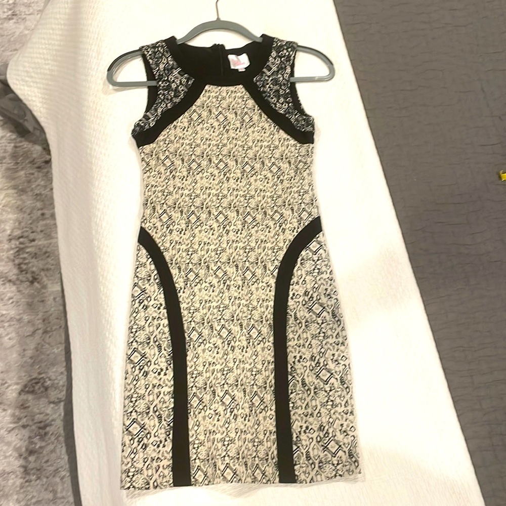 Parker sheath dress XS NWOT